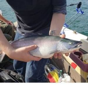 Meet your Posher, Kael